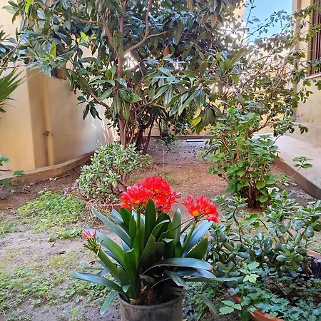 Apartment Cherie House Olbia