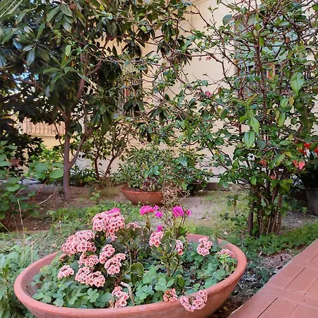Cherie House 奧爾比亞